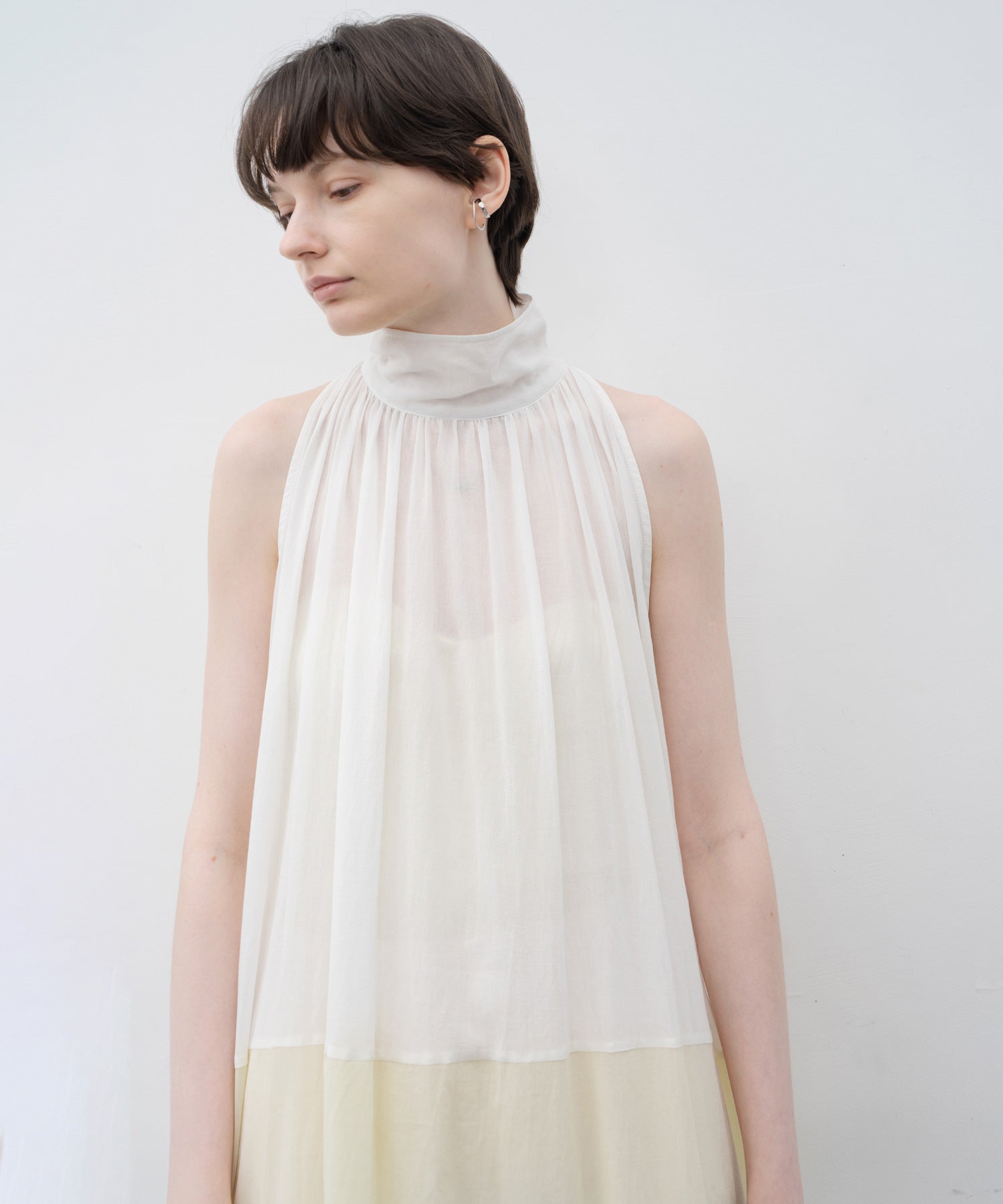 Ombre Sleeveless High-Neck Dress