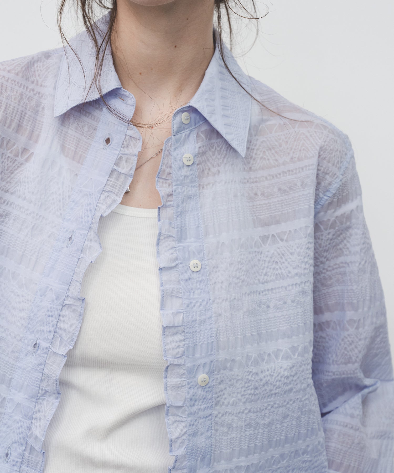 Sheer Textured Lace Collar Blouse – Design Detail Long Sleeve