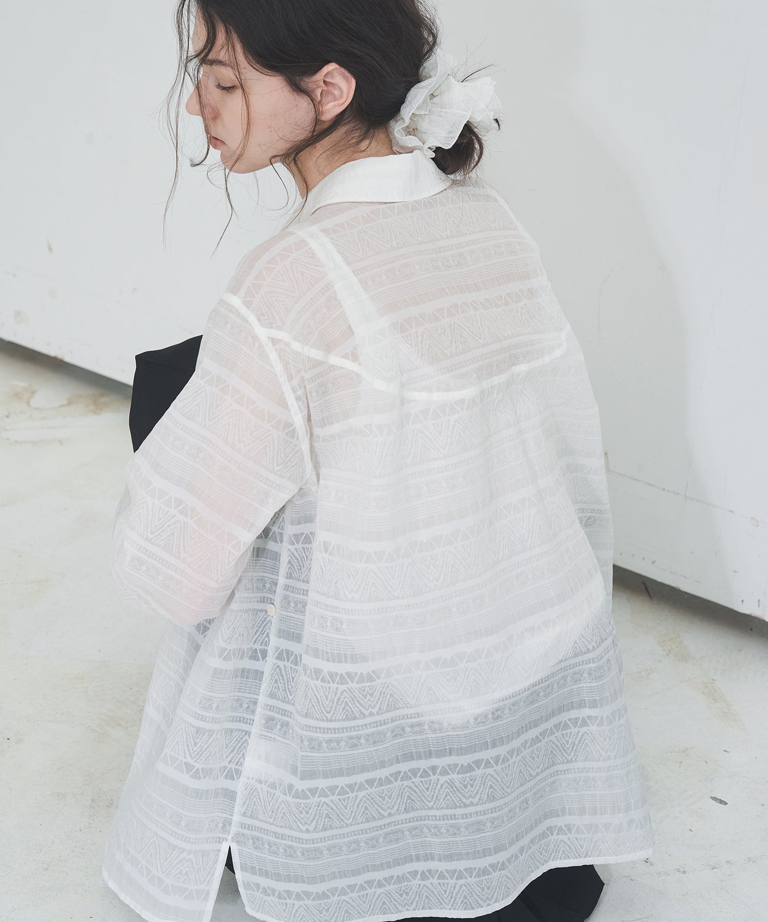 Sheer Textured Lace Collar Blouse – Design Detail Long Sleeve