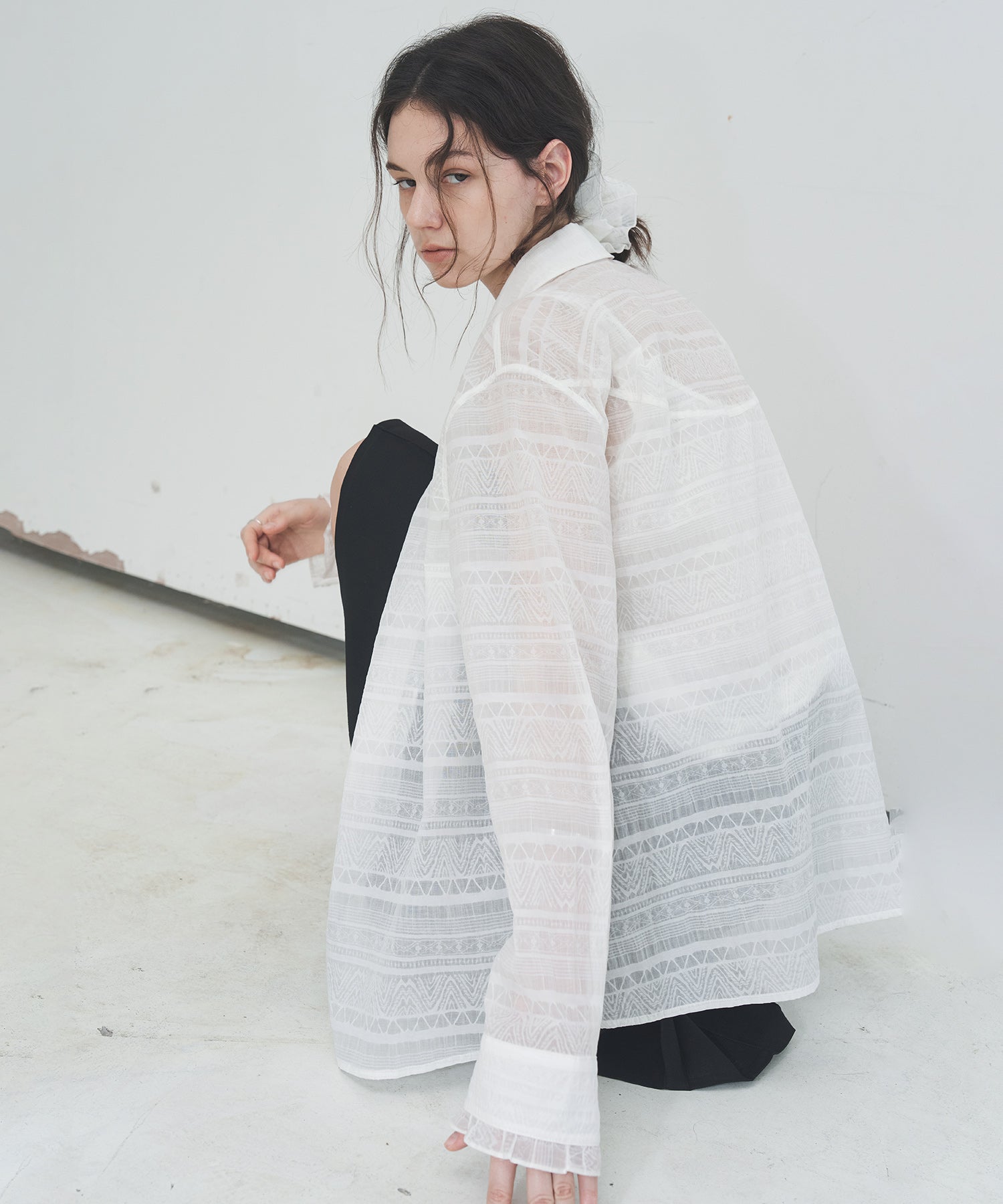 Sheer Textured Lace Collar Blouse – Design Detail Long Sleeve