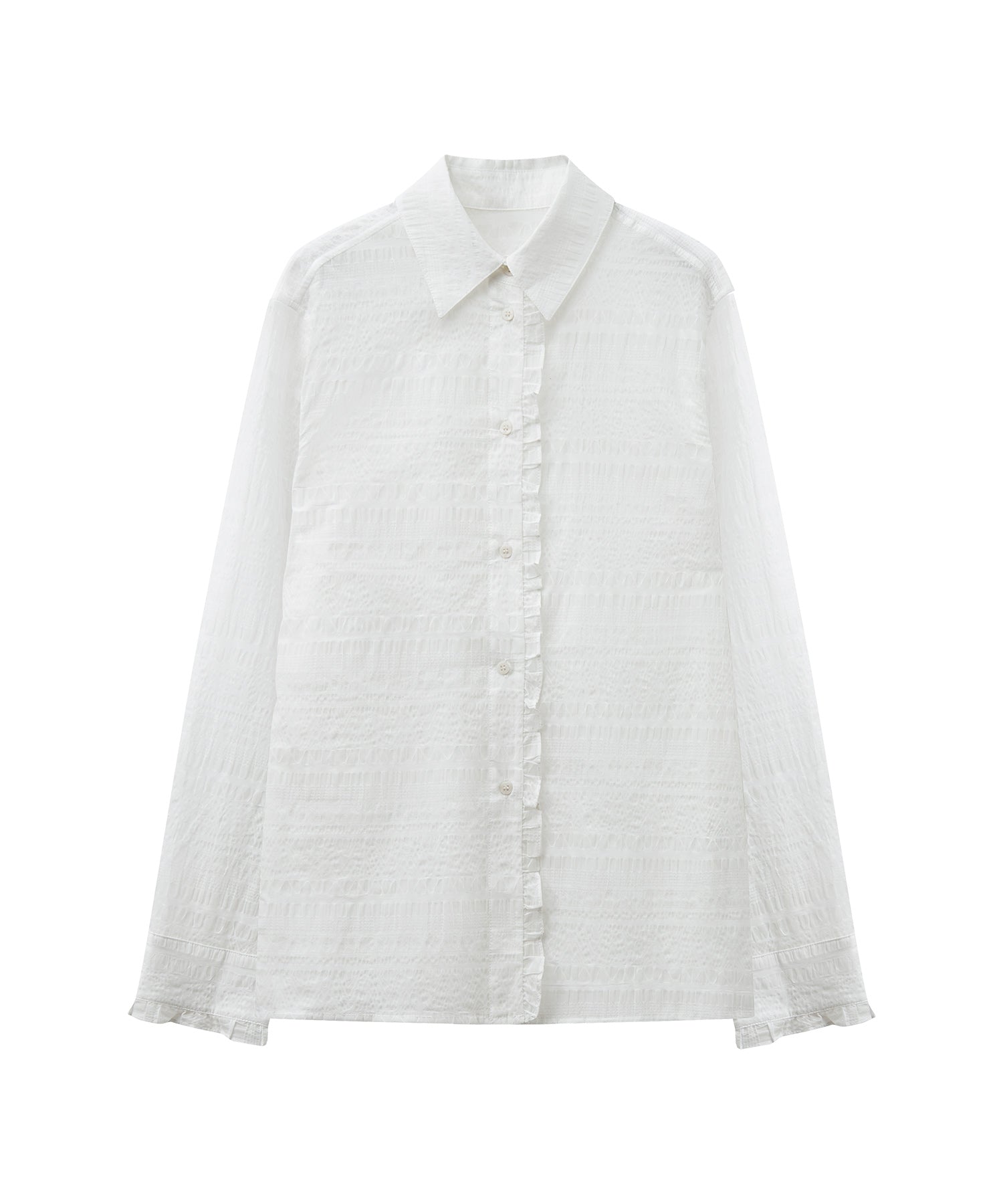 Sheer Textured Lace Collar Blouse – Design Detail Long Sleeve