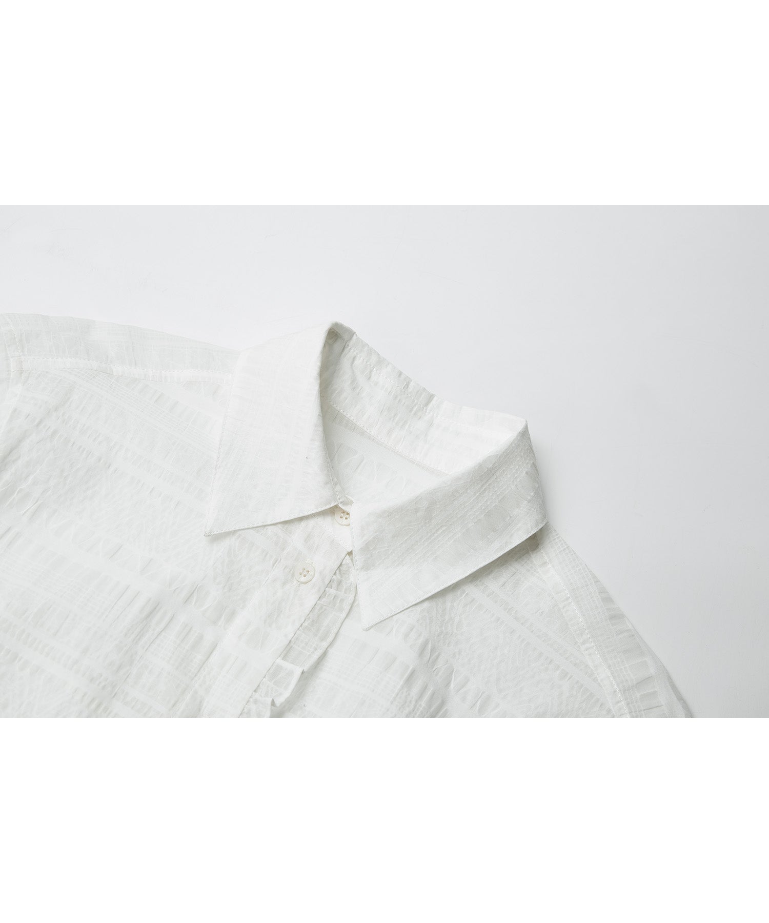 Sheer Textured Lace Collar Blouse – Design Detail Long Sleeve