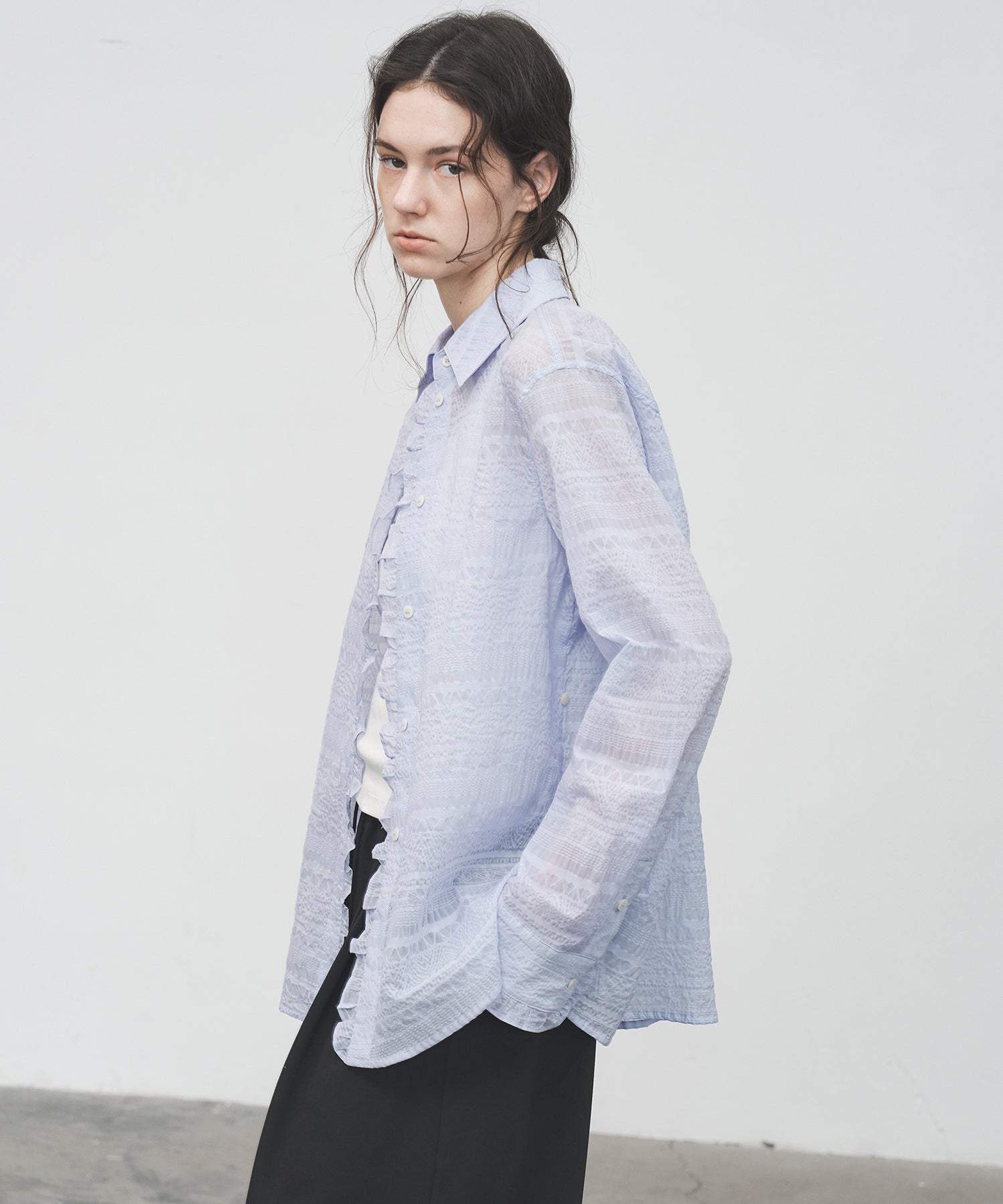 Sheer Textured Lace Collar Blouse – Design Detail Long Sleeve