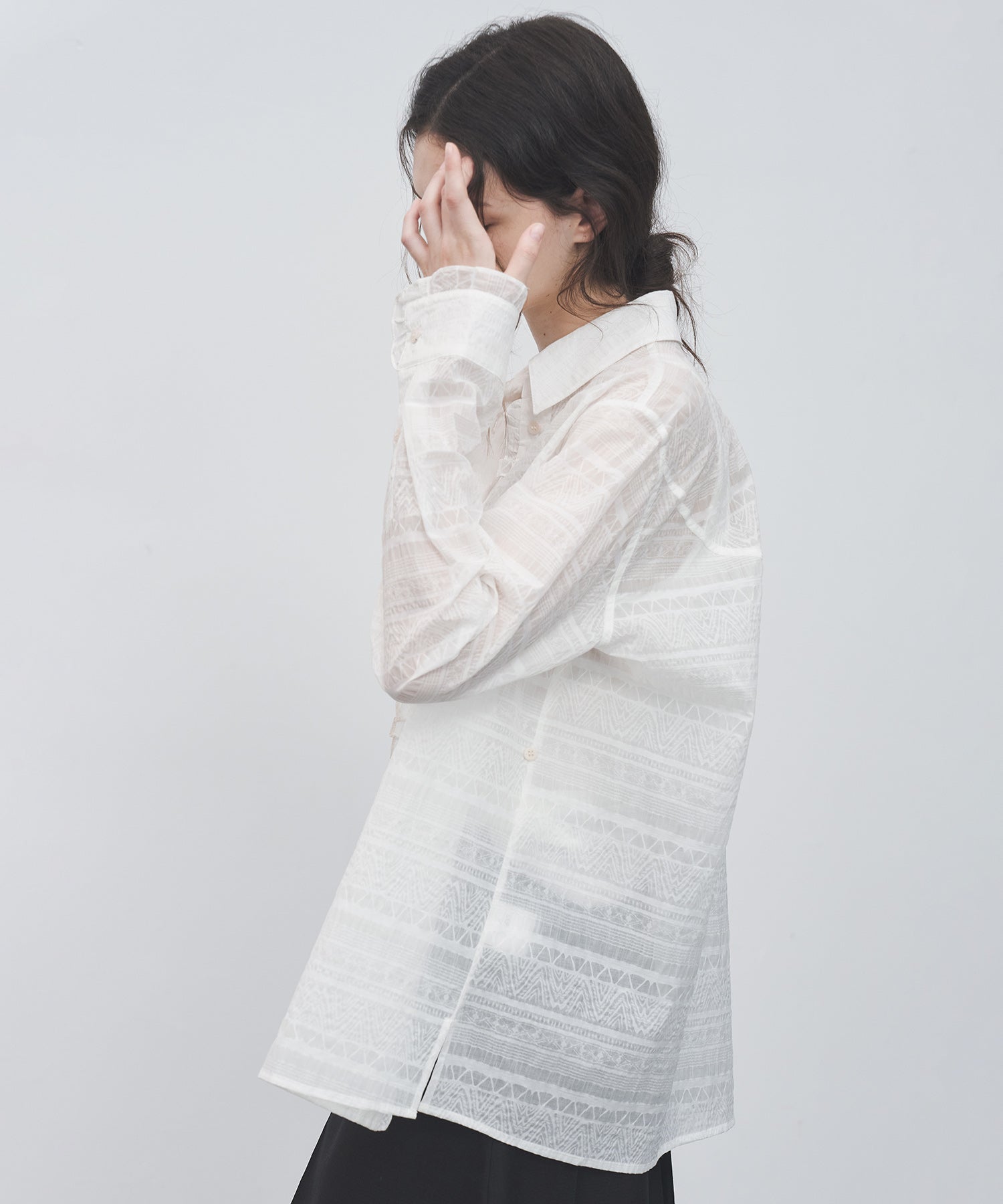 Sheer Textured Lace Collar Blouse – Design Detail Long Sleeve