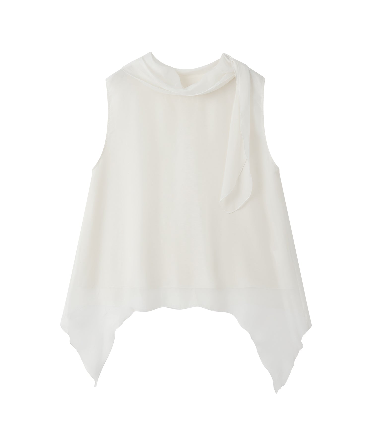 Nuanced Sheer Draped Top