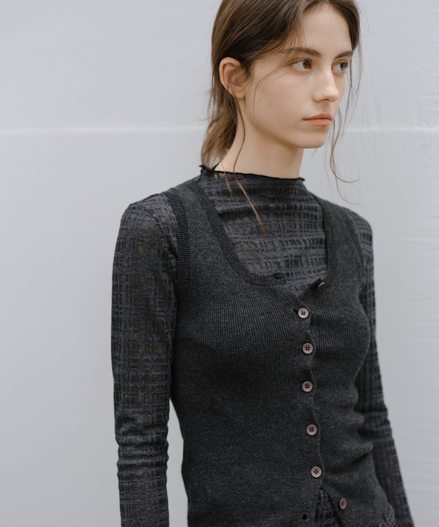 "Shipping from early to mid-March" Check Pattern Sheer Mesh Long Sleeve Top